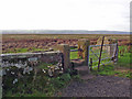 Neston - Dee marshes at Old Quay