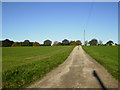 Track to Haverwitz Farm near Easingwold