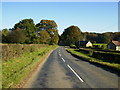 The B1363 road north east of Brandsby