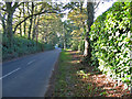 The road to Cranborne from Alderholt Dorset