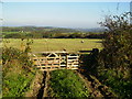 Farm gate entrance in the Howardian Hills