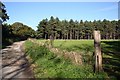 Laughton Forest from Scotter Road