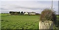 Pasture field at Fernyrig