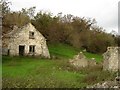 Ruined cottages near Graig Farm