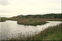 NH9655 : Duck pond west of Boghole. by Des Colhoun