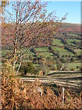 SO2630 : View down to Penyworlod Farm, Vale of Ewyas by Philip Halling