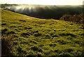 Field beside Wakeham Lane