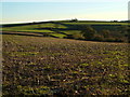 View south from Borough Cross