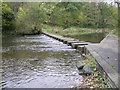 Stepping stones, Humford Mill