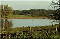 Mistley Hall Lake, as seen from the B.1035