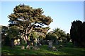 Gainsborough Cemetery