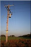 SK8384 : Rural power lines by Richard Croft