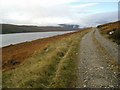 NH2565 : Loch Fannich and the track to Fannich Lodge by Gordon Brown