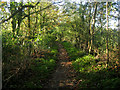 Footpath behind Cockfield church