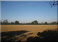TL9255 : Ploughed field near Colchester Green by Roger Temple