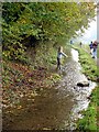 Shallow stream near Coombe