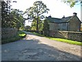 Driveway to Clifton Castle