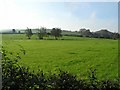 Donaghenry Townland