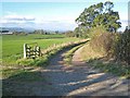 Field and farm road near Thirn