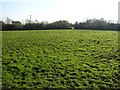 Tullylig Townland