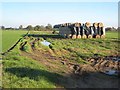 Hay bales, near Thornborough