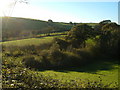 View near Knighton Coombe