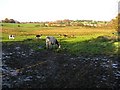 Derry Townland