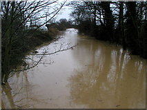 TA1828 : Burstwick Drain Flood - January 2003. by Andy Beecroft