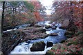 The River Devon