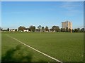 Playing Fields, Scott Hall Road