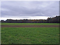 Checkley - view towards Checkley Wood