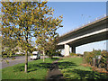 Grangetown Viaduct, Cardiff