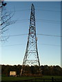 Electricity pylon, Newton Flotman