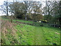 Footpath beside Catstone Wood