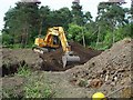 Clearing the Victorian dump at Bishop