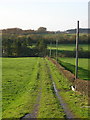 Track Near North Netherburn