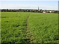 Footpath to Irchester