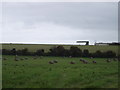 Field with bales, looking towards Eastgate Dairy