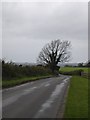 Road past Manor Farm