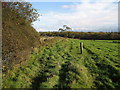 Fields near Winsley Grange