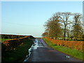 Minor Road Near Muirhouse