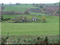 Ruined Croft House and Building