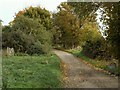 The lane that leads to Whatfield Hall