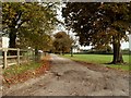 Road to Nedging Hall Farm