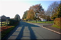 Green Road and the Village Green, Weston