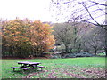 Cilrhedyn bridge picnic area  in the Gwaun Valley