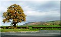 Junction of Featherbed Lane with the A684