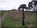 NY3864 : Cycle-Path at Westlinton by Keith Fairhurst