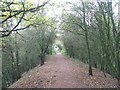 Towpath of Wyrley Branch Canal