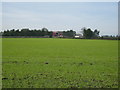 View over field to Red House